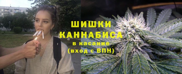 стаф Новокубанск