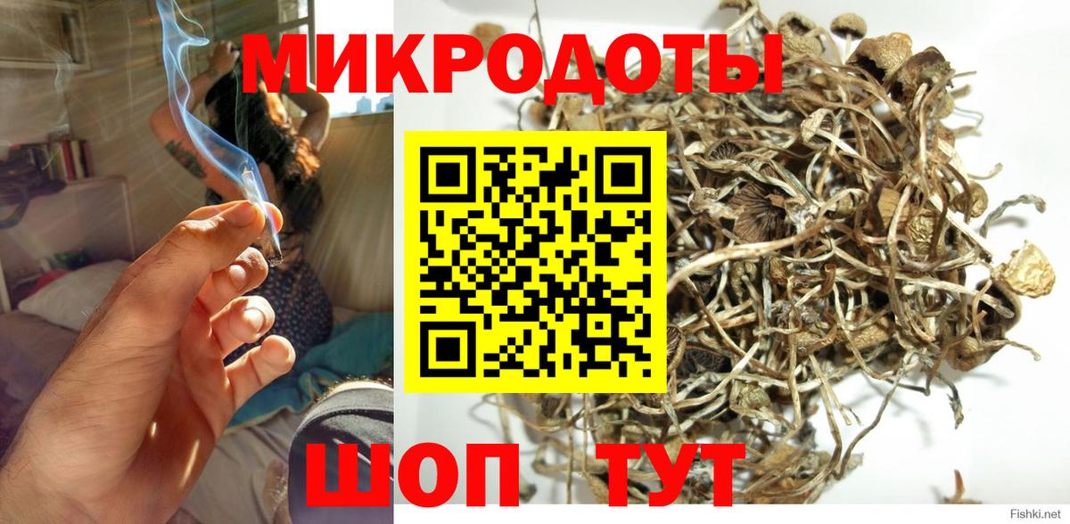 Галлюциногенные грибы мухоморы  Вход с VPN  купить наркотик  Ахтубинск 