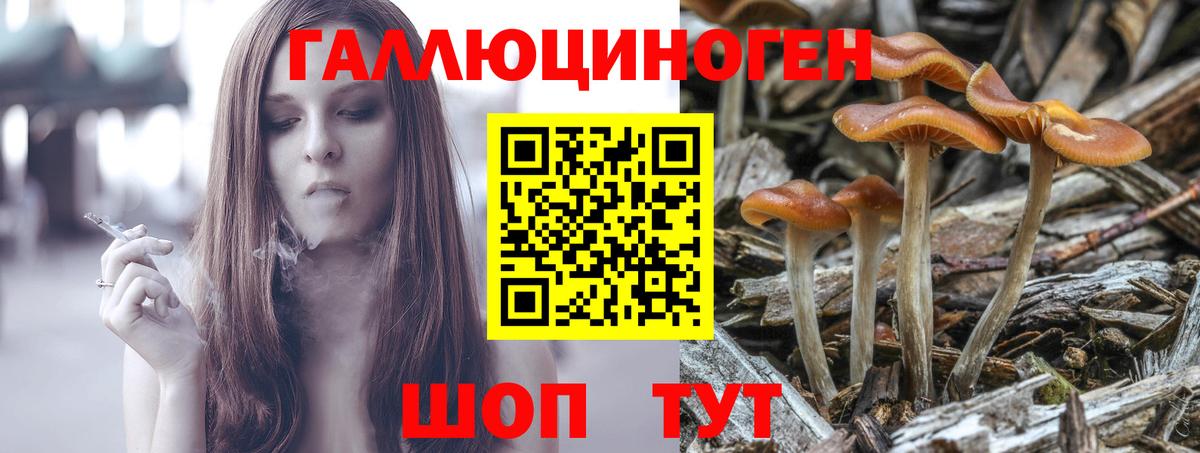 Галлюциногенные грибы MAGIC MUSHROOMS Ахтубинск
