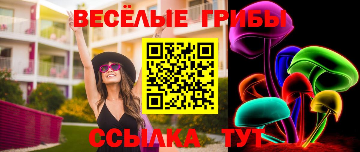 Галлюциногенные грибы мухоморы  Ахтубинск  Галлюциногенные грибы мухоморы 