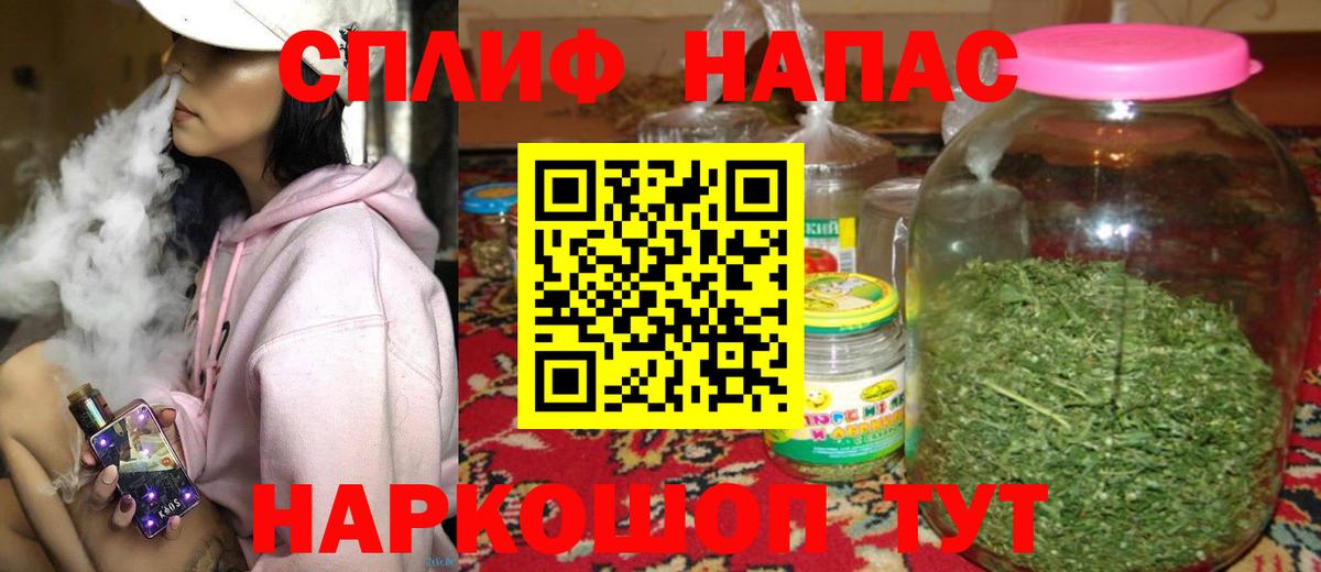 Бошки Шишки семена  Вход с VPN  Ахтубинск  Конопля конопля  Каннабис SATIVA & INDICA 